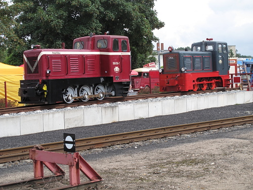 Diesellok-Ausstellung auf dem Bahnhof Bad Doberan. Links im Bild die 199 016 „Angelika“, rechts Lok „Otto“. 
